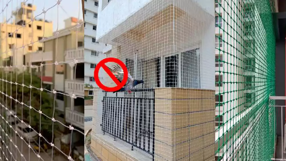 Pigeon Safety Nets